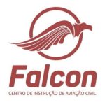 Falcon Escola